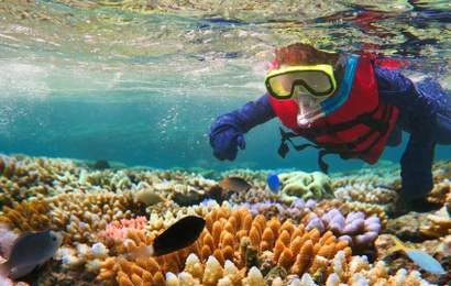 Background image for Carnival Cruise Line's Australian Adventures