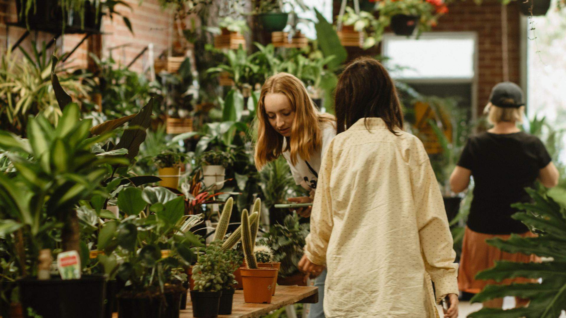 Botanicah Is Prahran's New Supersized Plant Warehouse Here to Fuel Your Houseplant Obsession