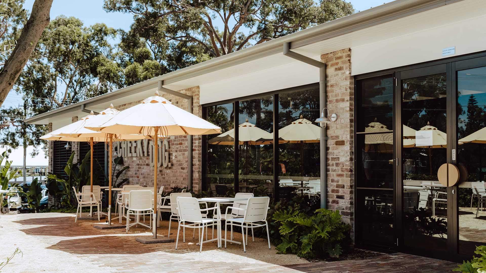 Cheeky Dog Soldiers Point Review