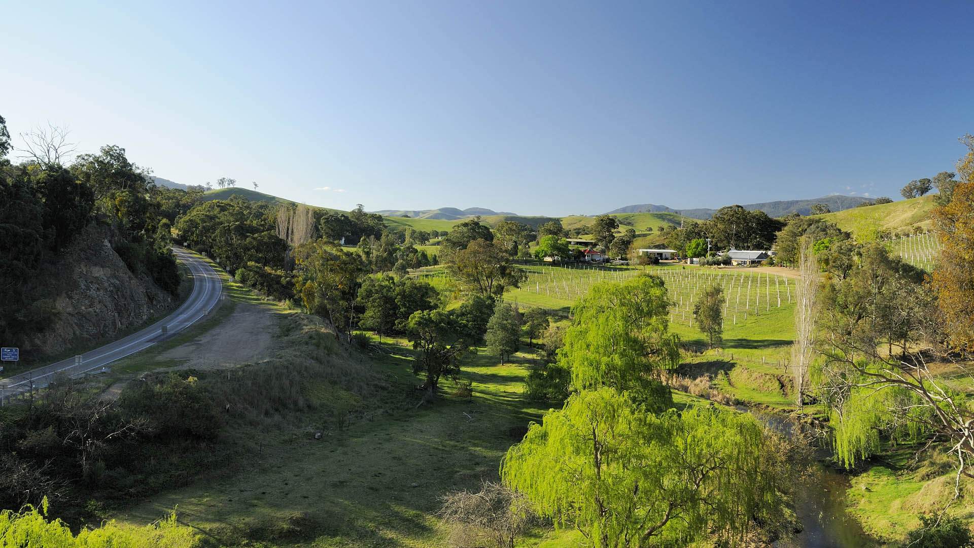 Hungry for Adventure: A New Study Has Revealed That Victoria Is Home to Three of Australia's Top Summer Foodie Road Trips