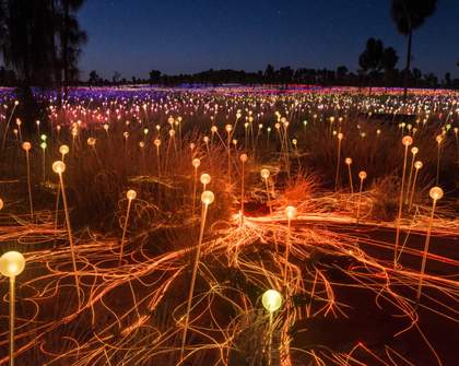 Artist Bruce Munro Is Bringing Two New Dazzling Light Installations to the NSW-Victorian Border