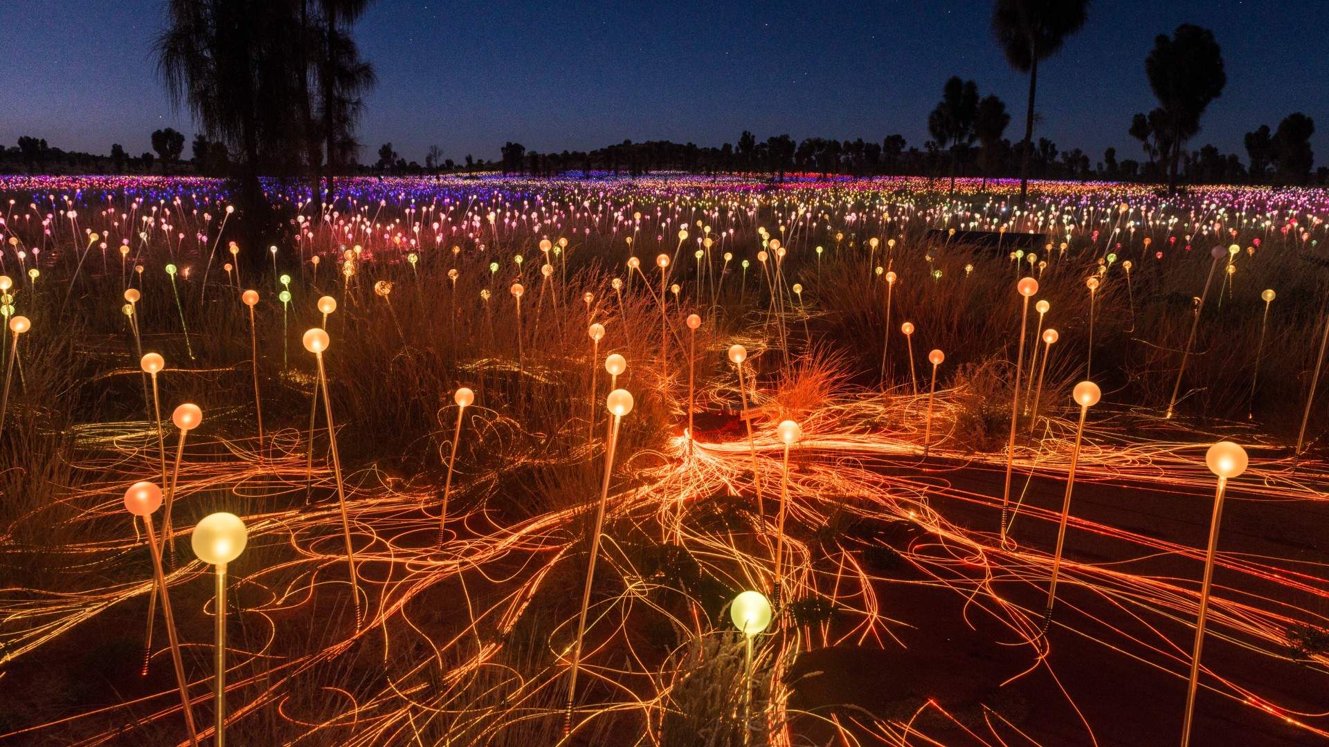 Artist Bruce Munro Is Bringing Two New Dazzling Light Installations to the NSW-Victorian Border