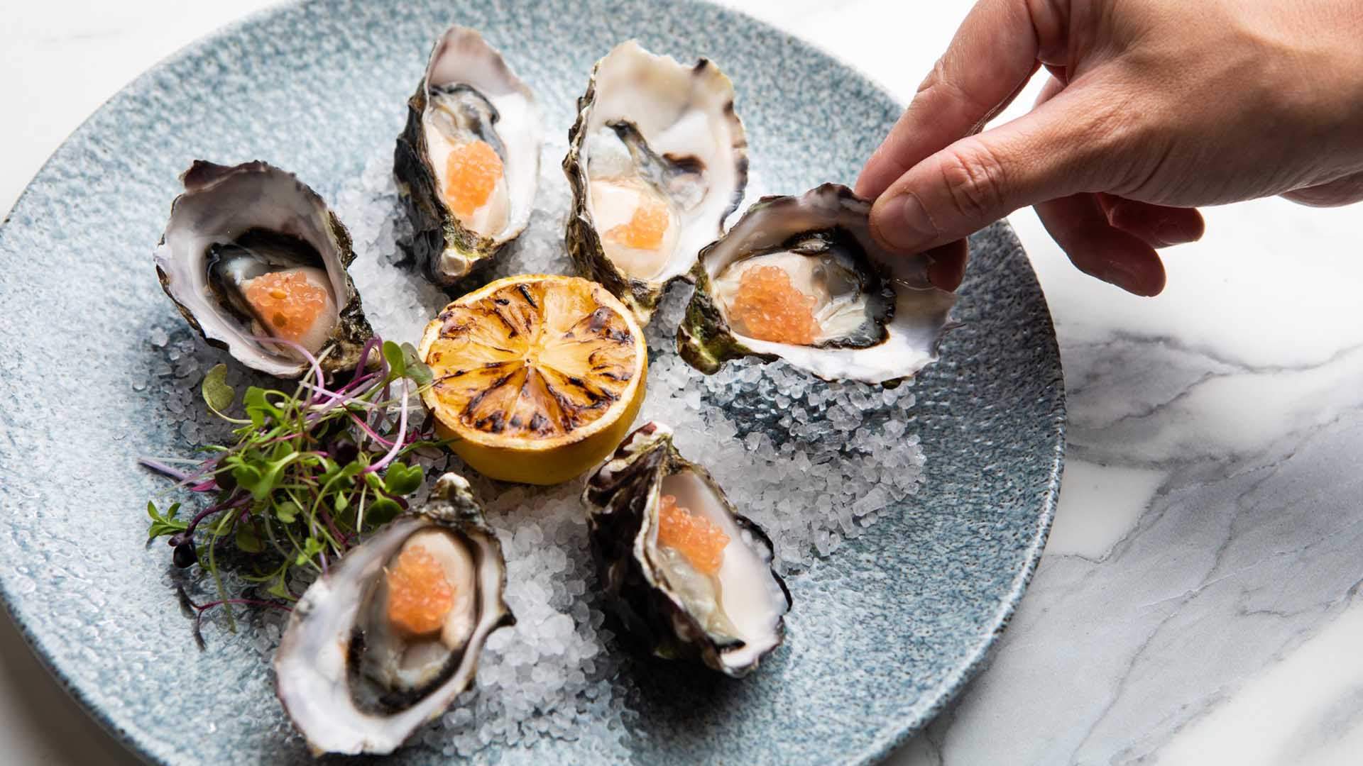 1.50 Oyster Happy Hour, Brisbane