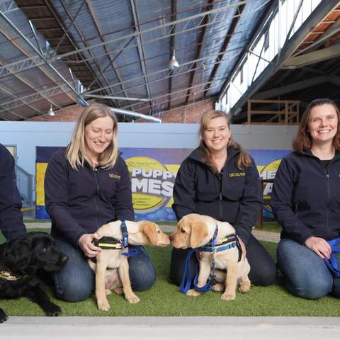 Seeing Eye Dogs' Puppy Games Is the Adorable Contest That Swaps Athletes for Guide Dog Trainees