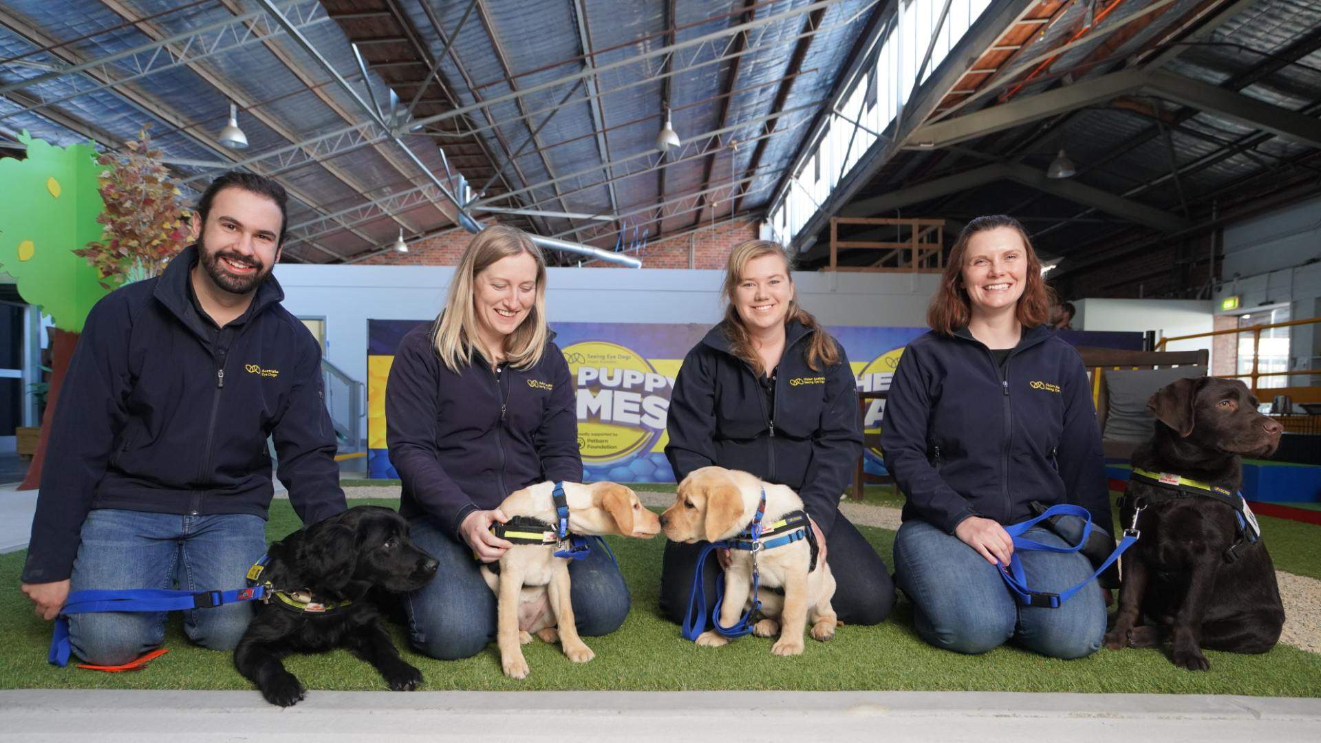 Seeing Eye Dogs' Puppy Games Is the Adorable Contest That Swaps Athletes for Guide Dog Trainees