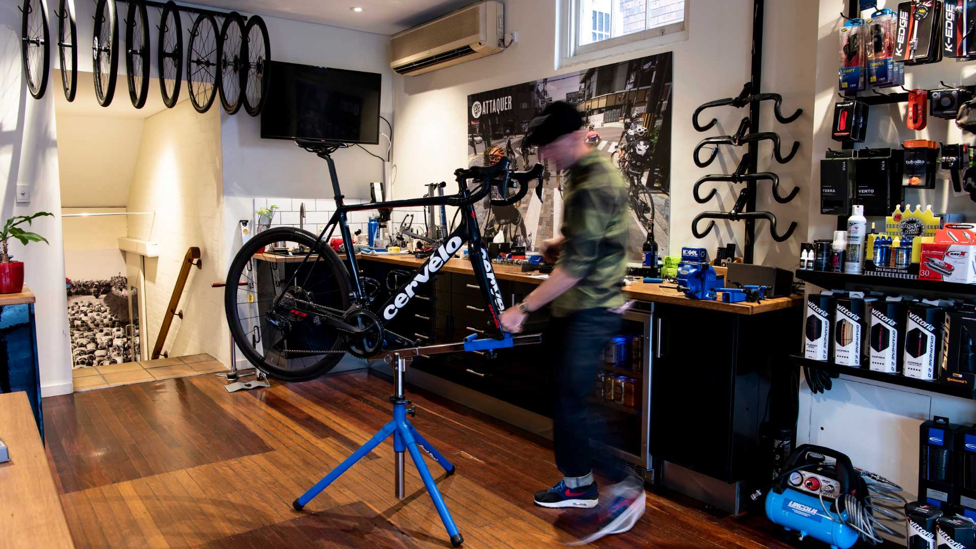 Wheelhaus Bicycle Boutique Concrete Playground