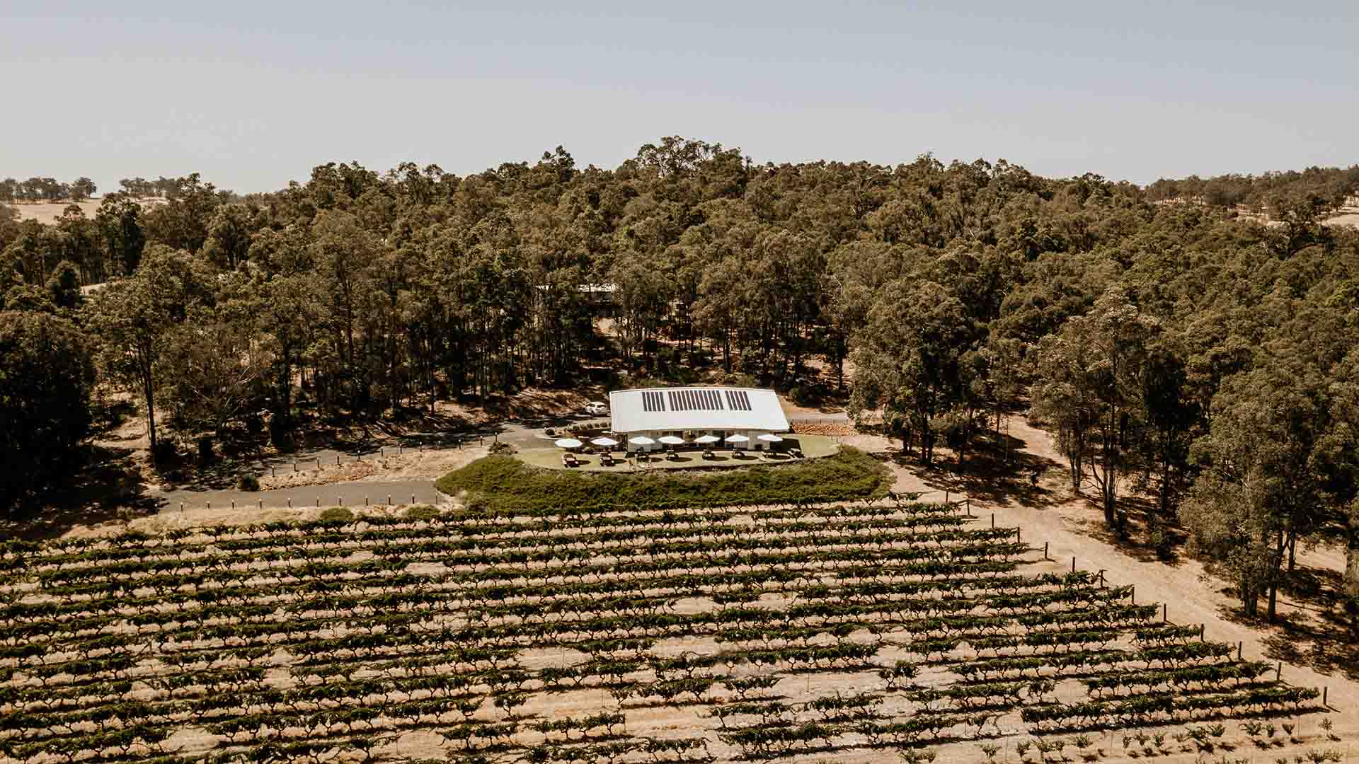 Barton Jones Wines, Donnybrook Review