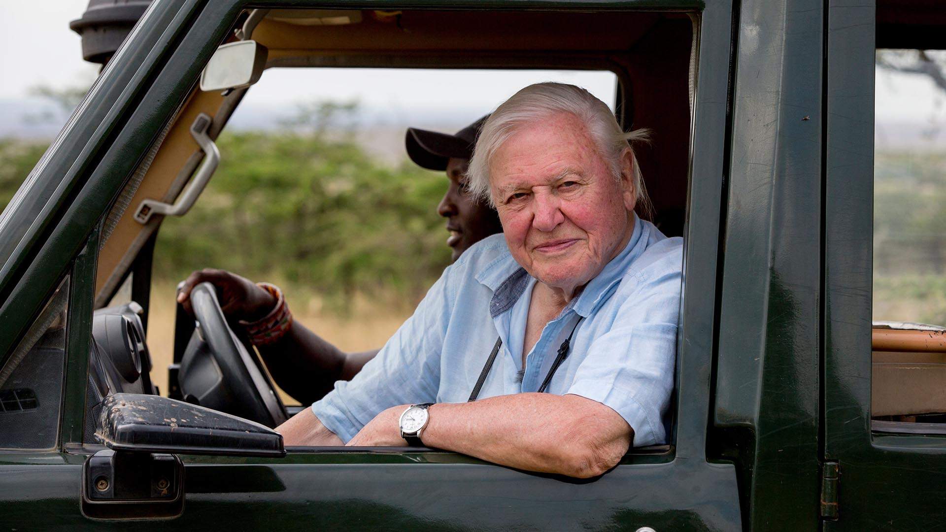 David Attenborough's Latest Nature Documentary Will Hit Cinemas Down Under Next Month