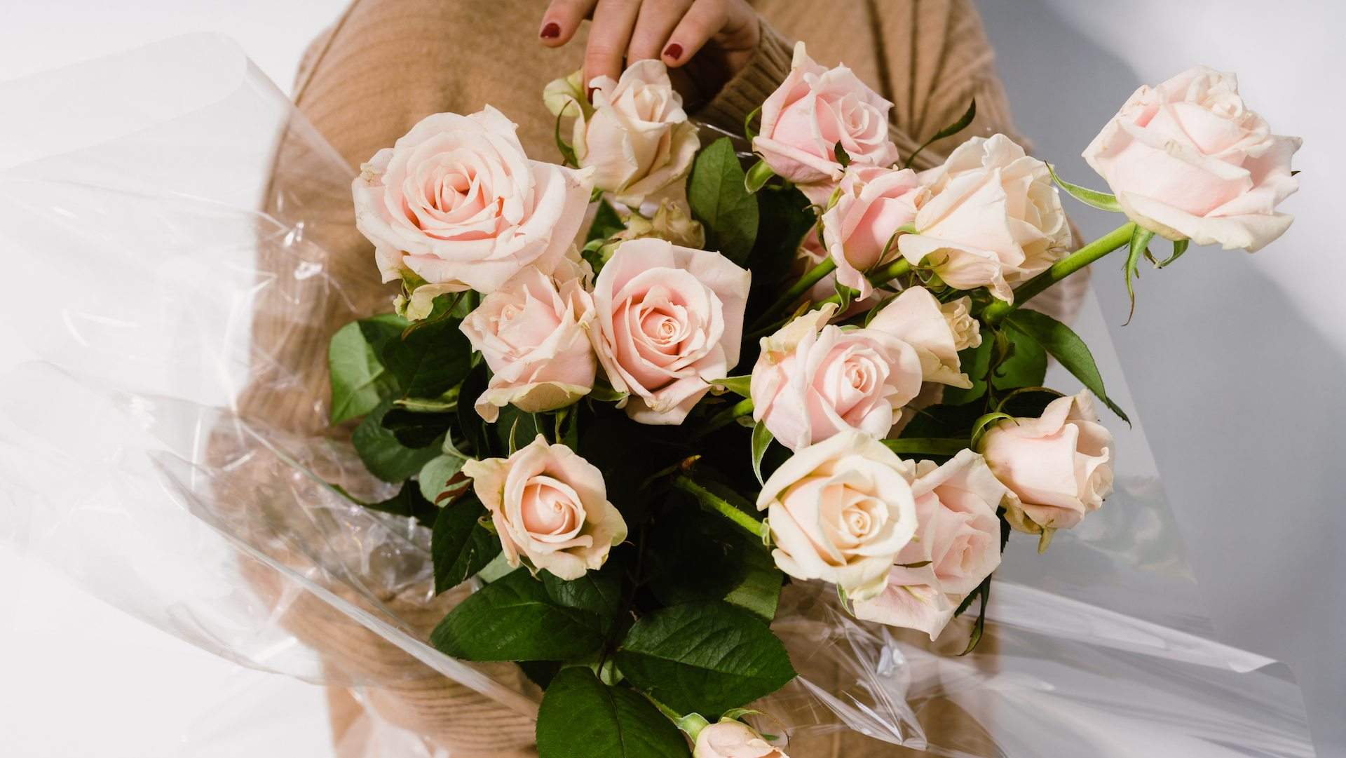 Positive Parcels Is the New Melbourne Flower Service Delivering Cheery Bouquets to Your Door