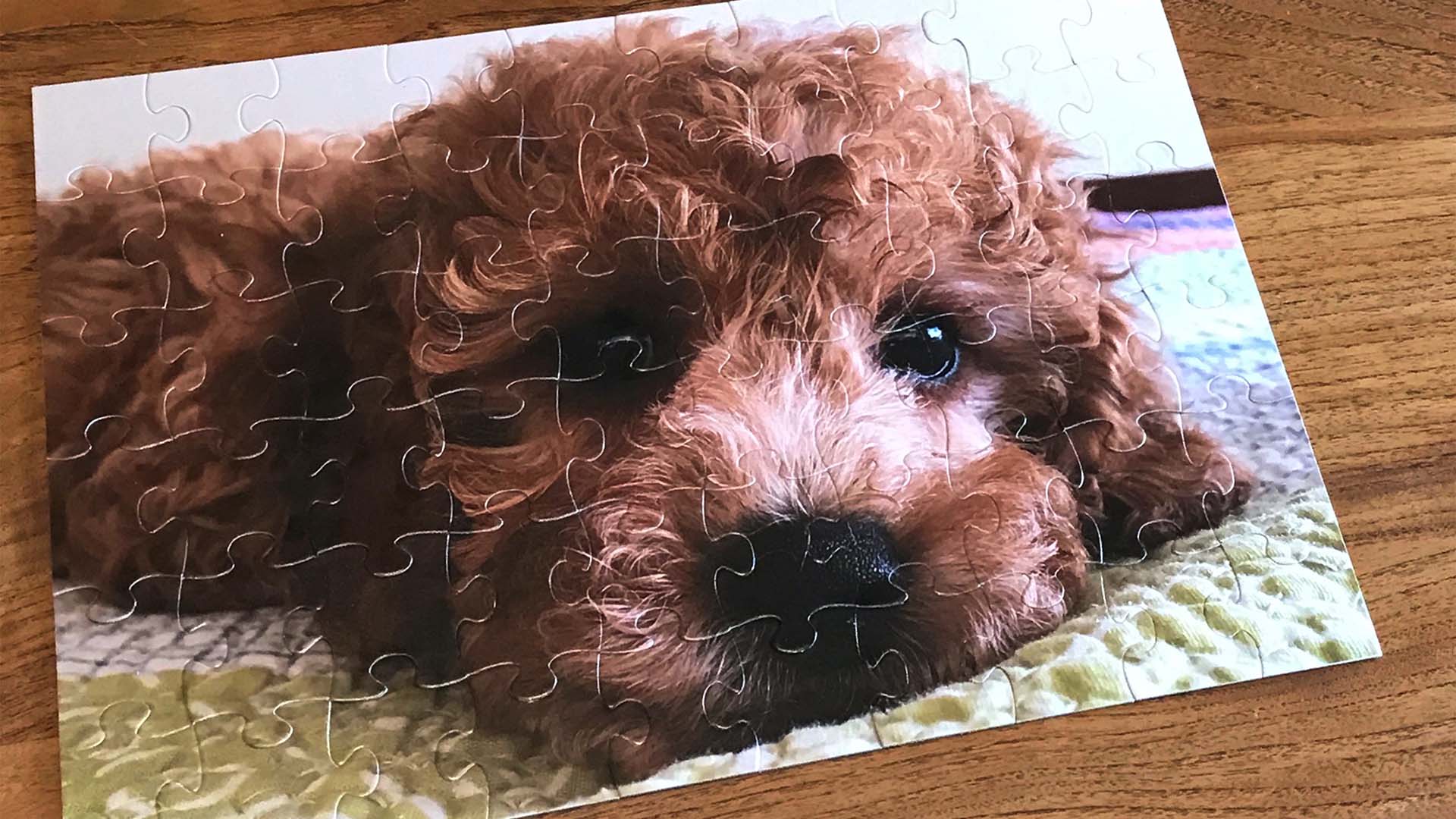 This Aussie Website Will Turn Your Pet's Cute Face Into Your Own Personalised Jigsaw Puzzle