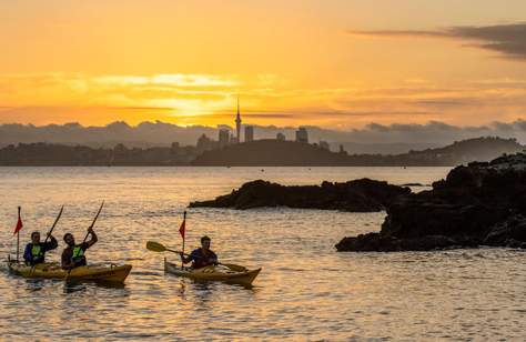 Five Incredible New Zealand Islands for When You Want to Get Off the Mainland