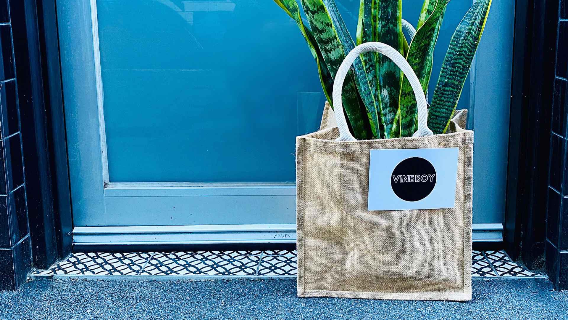 Vine Boy Is Melbourne's New Online Shop for Affordable Plants and Gifts