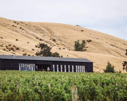Five Lesser-Known Wine Regions to Visit in New Zealand
