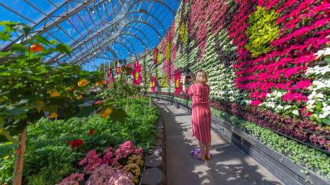 The Best Things to Do in Sydney This Weekend