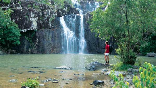CEDAR CREEK FALLS, TAMBORINE MOUNTAIN - best waterfall Brisbane Queensland