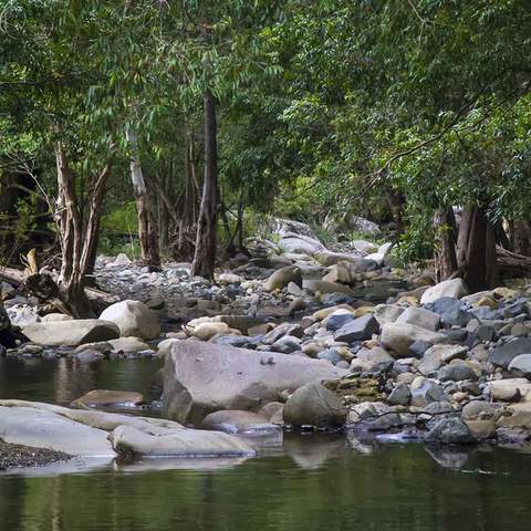 Cedar Creek, samford Queensland- one of the best Brisbane rivers for swimming in. 