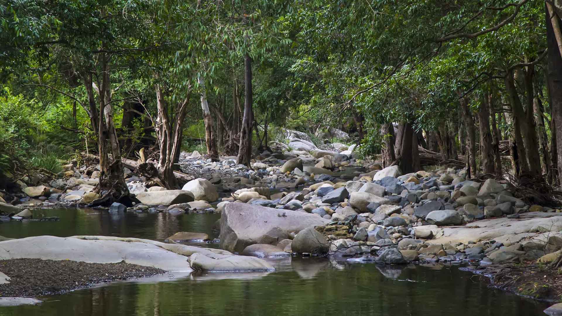Cedar Creek, samford Queensland- one of the best Brisbane rivers for swimming in. 