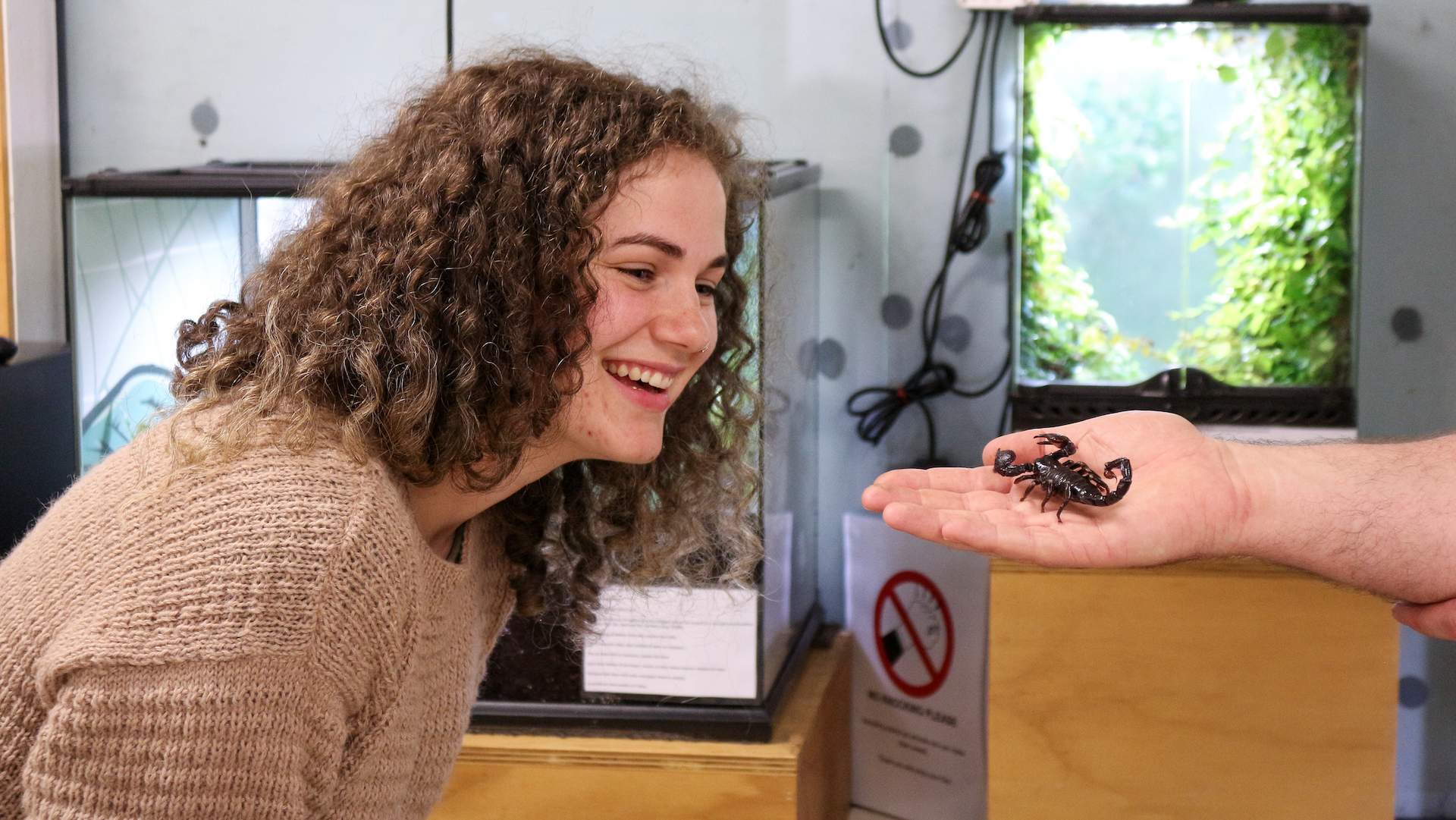 Wellington Zoo's New Behind-the-Scenes Experience Lets You Get Up Close with Creepy Crawlies