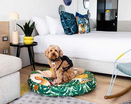 The Ten Best Dog-Friendly Hotels in Sydney for 2023