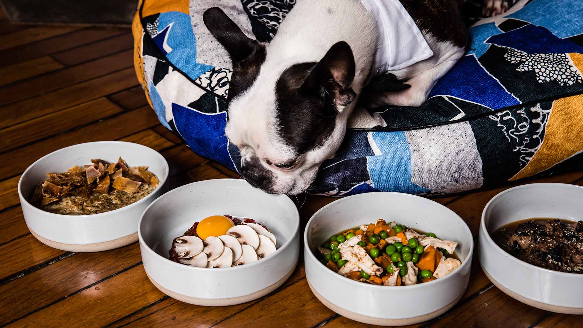QT Sydney - one of the best dog-friendly hotels in Sydney(pet-friendly hotel Sydney)