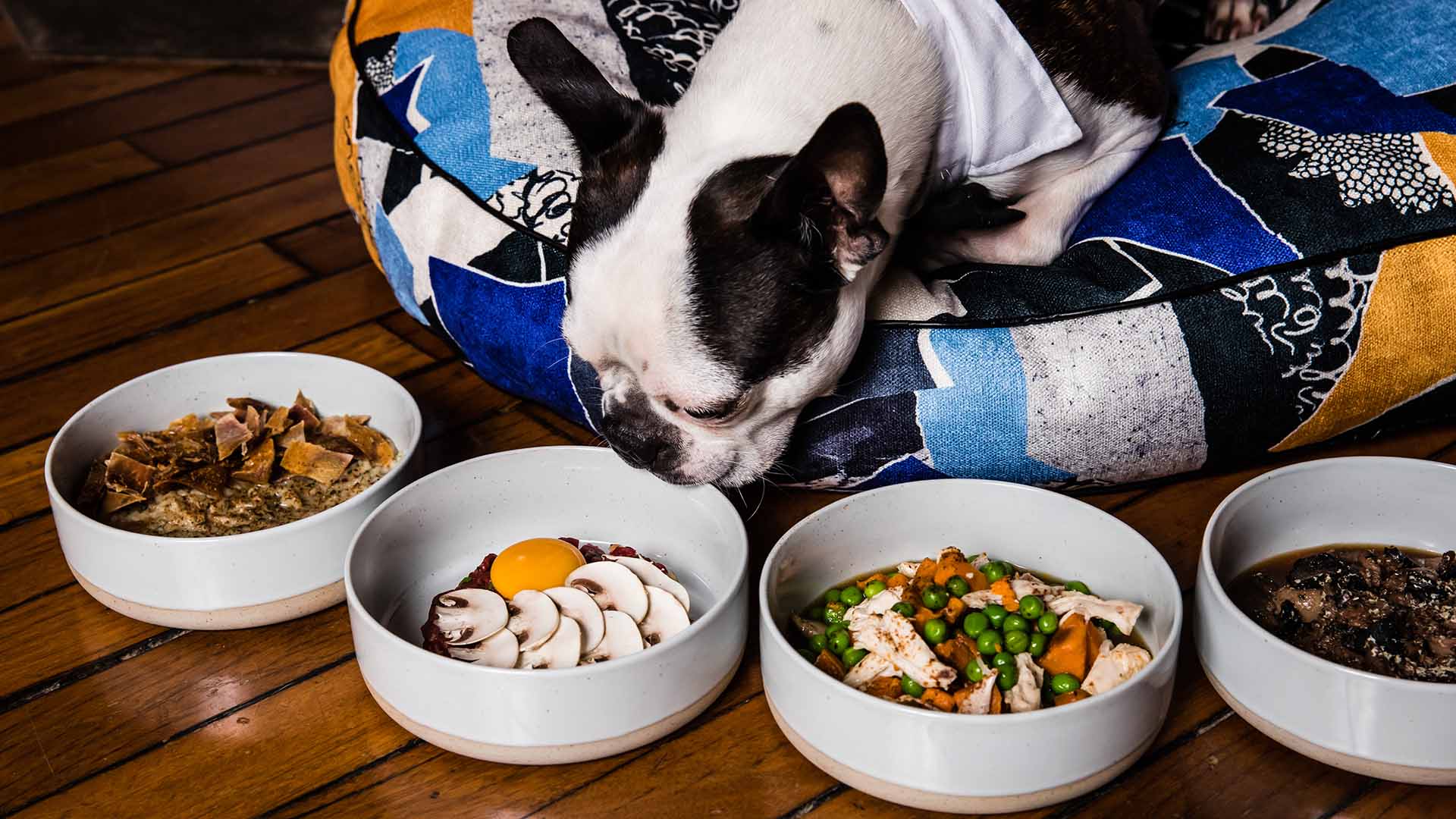 The Ten Best DogFriendly Hotels in Sydney for 2023