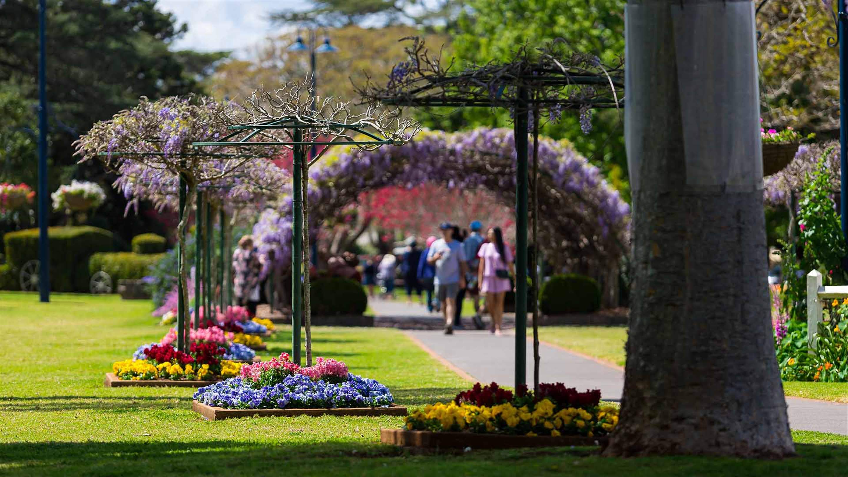 Mark Your Calendar Toowoomba's Carnival of Flowers Has Unveiled Its