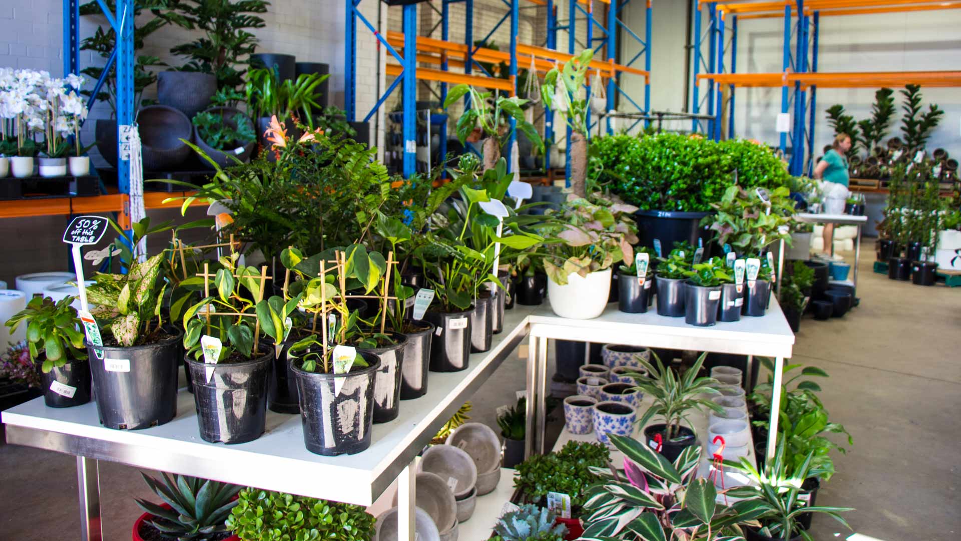 Plant Base Is Sydney's Newest Nursery with Over 100 Different Indoor and Outdoor Species