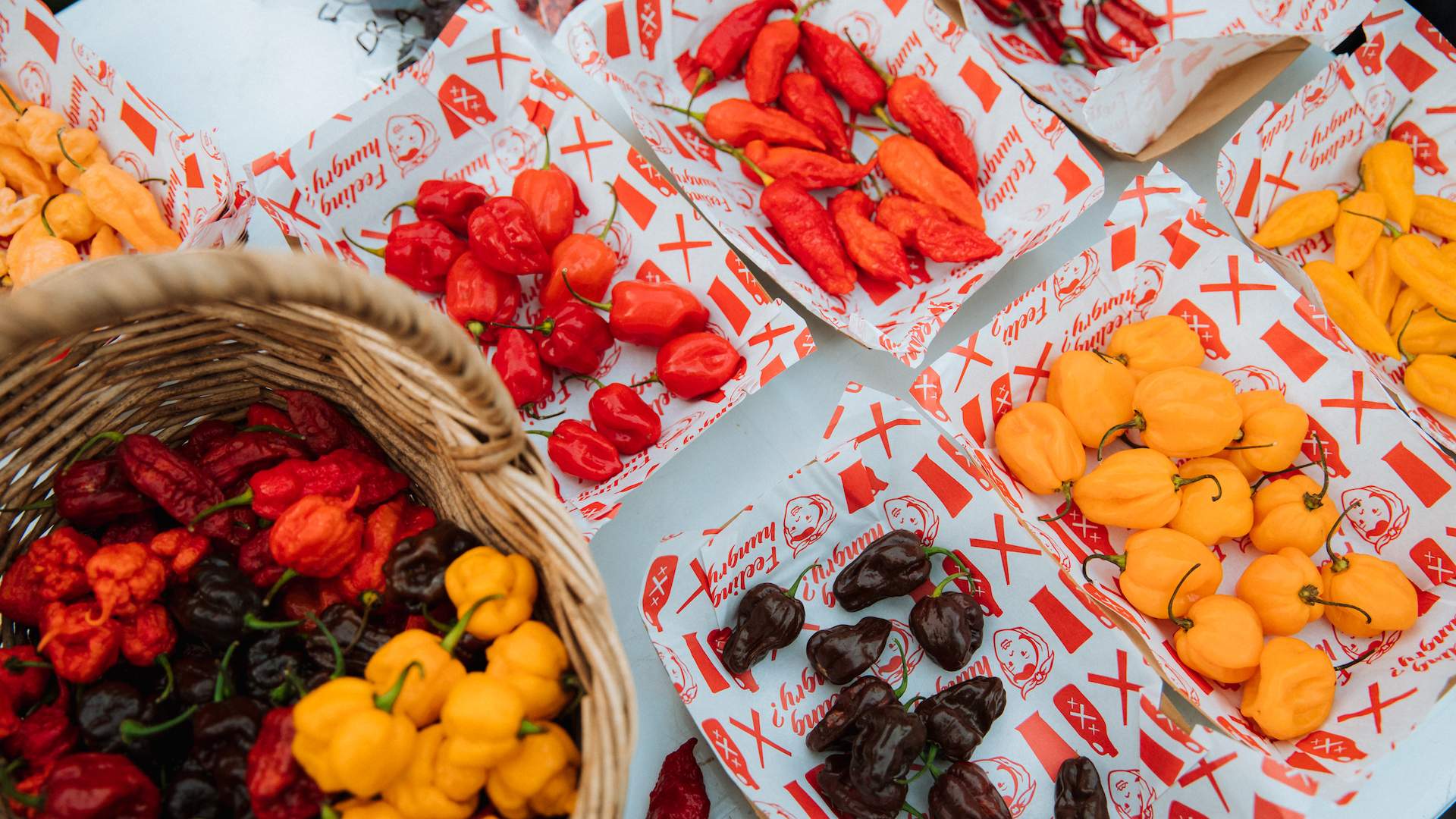 Hot Sauce Festival 2020, Auckland