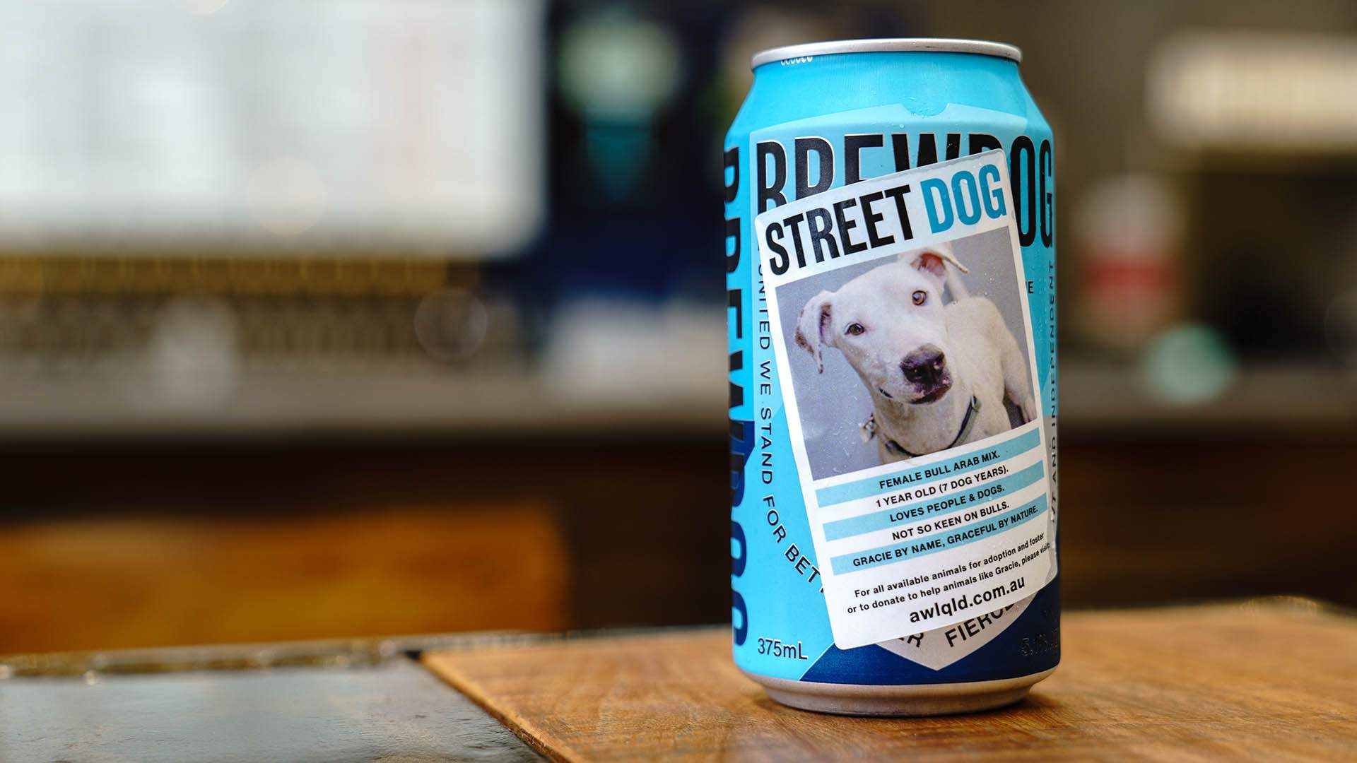 BrewDog Has Given Its Cans a Makeover to Profile Cute Pooches Currently Up for Adoption