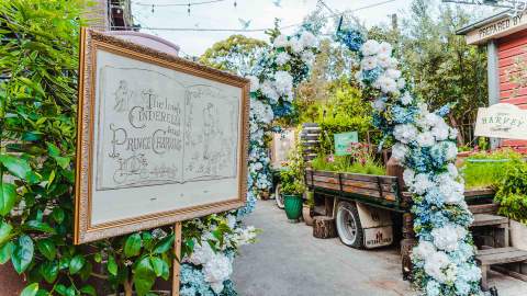 Everything You Need to Put In Your Diary for December