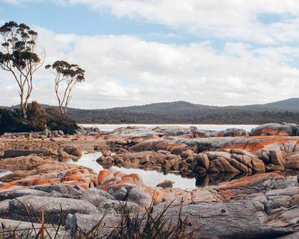 Nine Incredible Road Trips to Take to Explore the Country at Your Own Pace