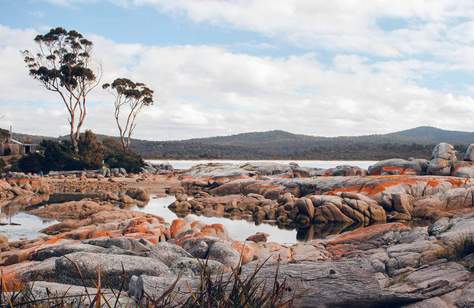 Tasmania Looks Set to Open Its Border to Most of the Country by the End of October