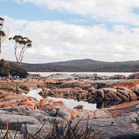 Tasmania Looks Set to Open Its Border to Most of the Country by the End of October