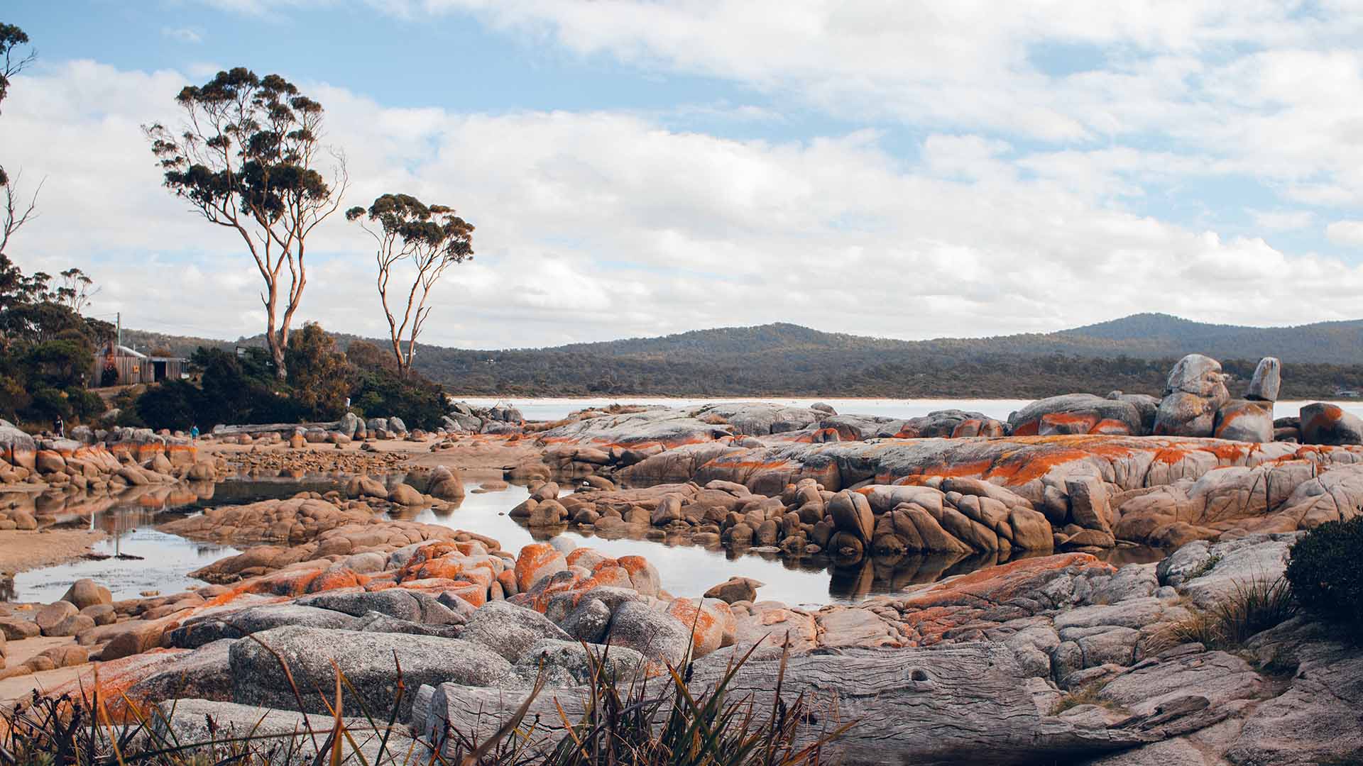 Tasmania Looks Set to Open Its Border to Most of the Country by the End of October