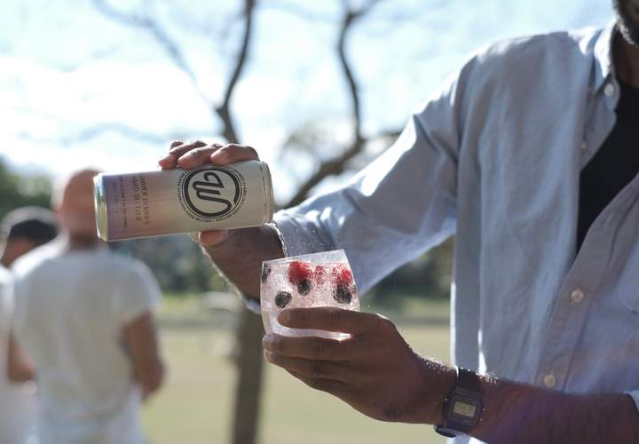 Background image for The New W Seltzer Range