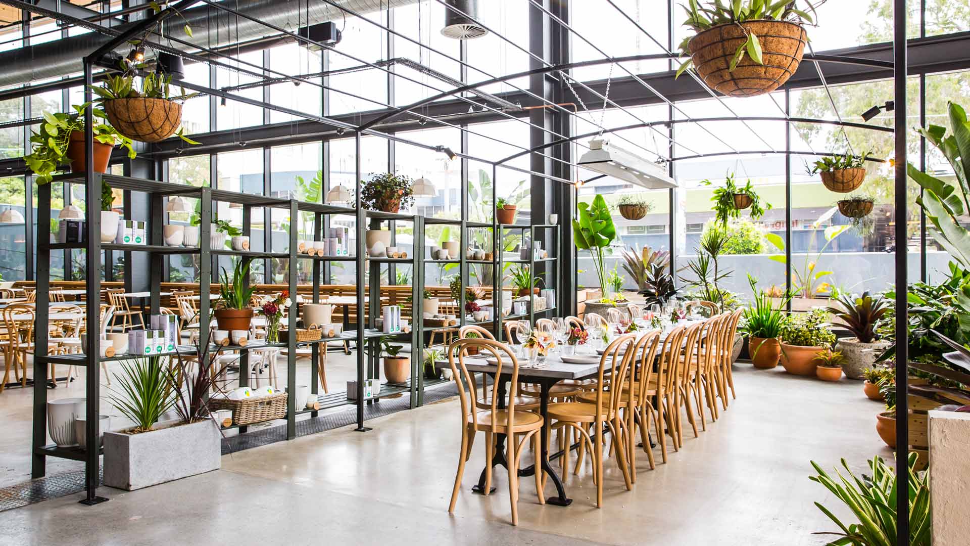 Acre Artarmon Is the Lower North Shore's Sprawling New Restaurant, Bakery and Urban Farm