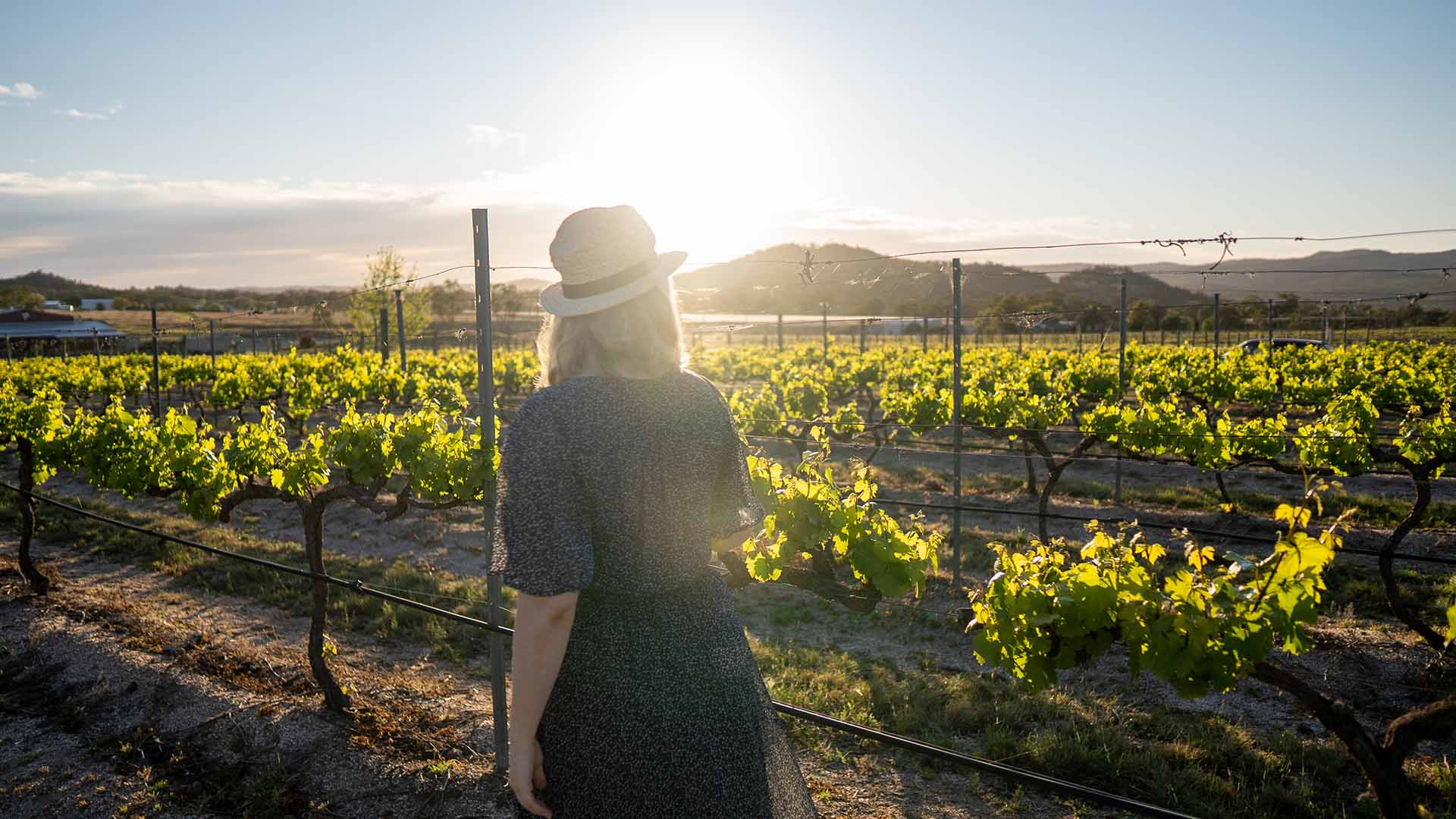 Queensland Is Now Home to a Self-Guided Wine Trail That Showcases More Than 70 Wineries