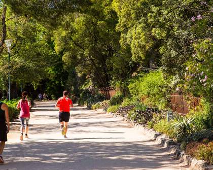 Five Creative Ways to Hit 60 Kilometres in Melbourne That Aren't Going for a Bush Walk