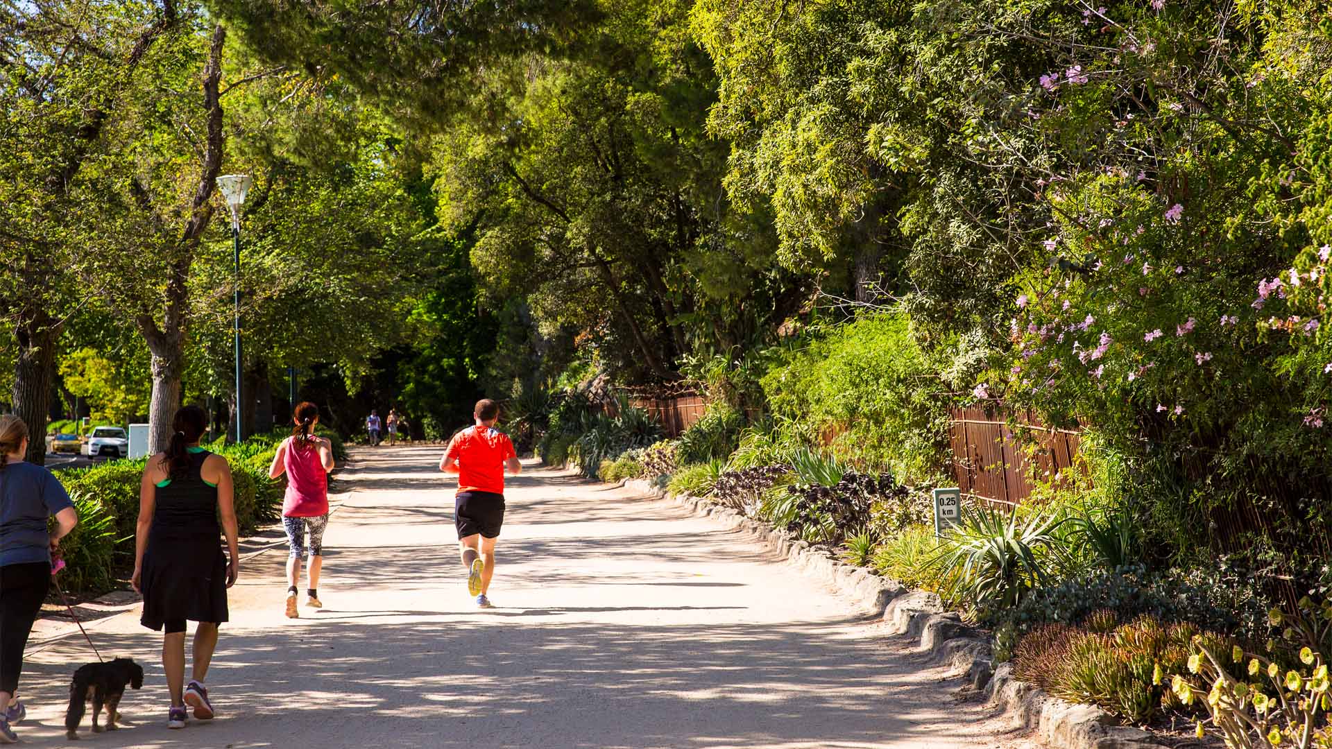 Five Creative Ways to Hit 60 Kilometres in Melbourne That Aren't Going for a Bush Walk