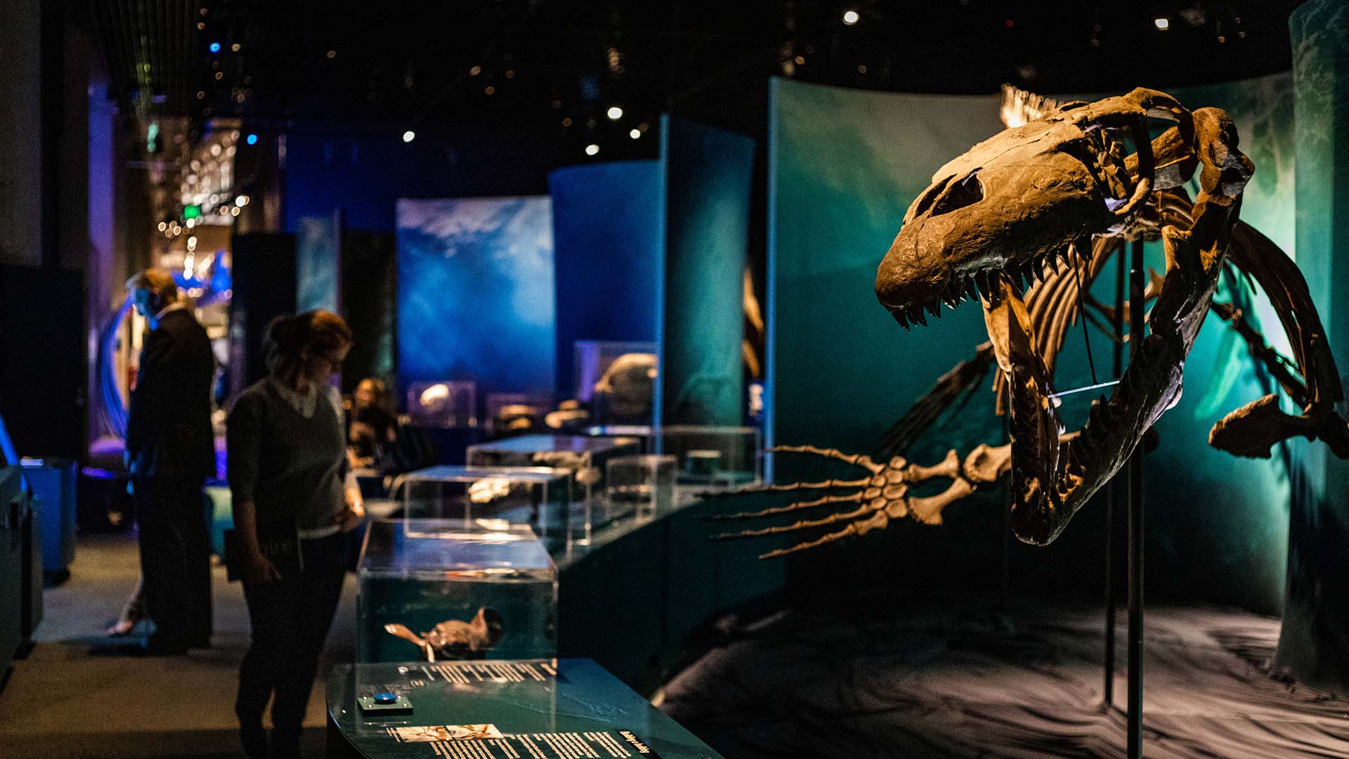 Sea Monsters: Prehistoric Ocean Predators