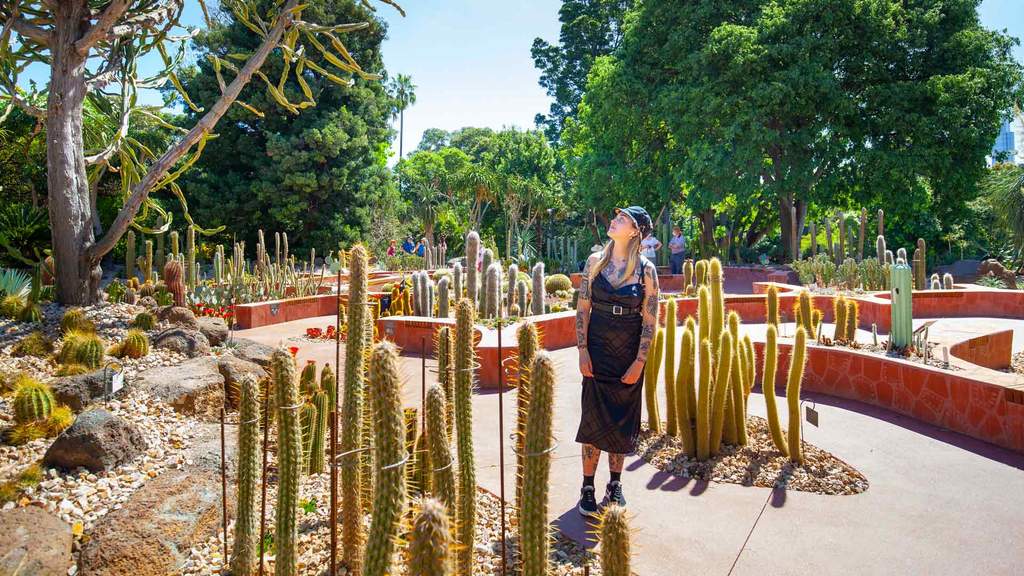 Melbourne's Royal Botanic Gardens Is Now Home to More Than 3000 Cacti