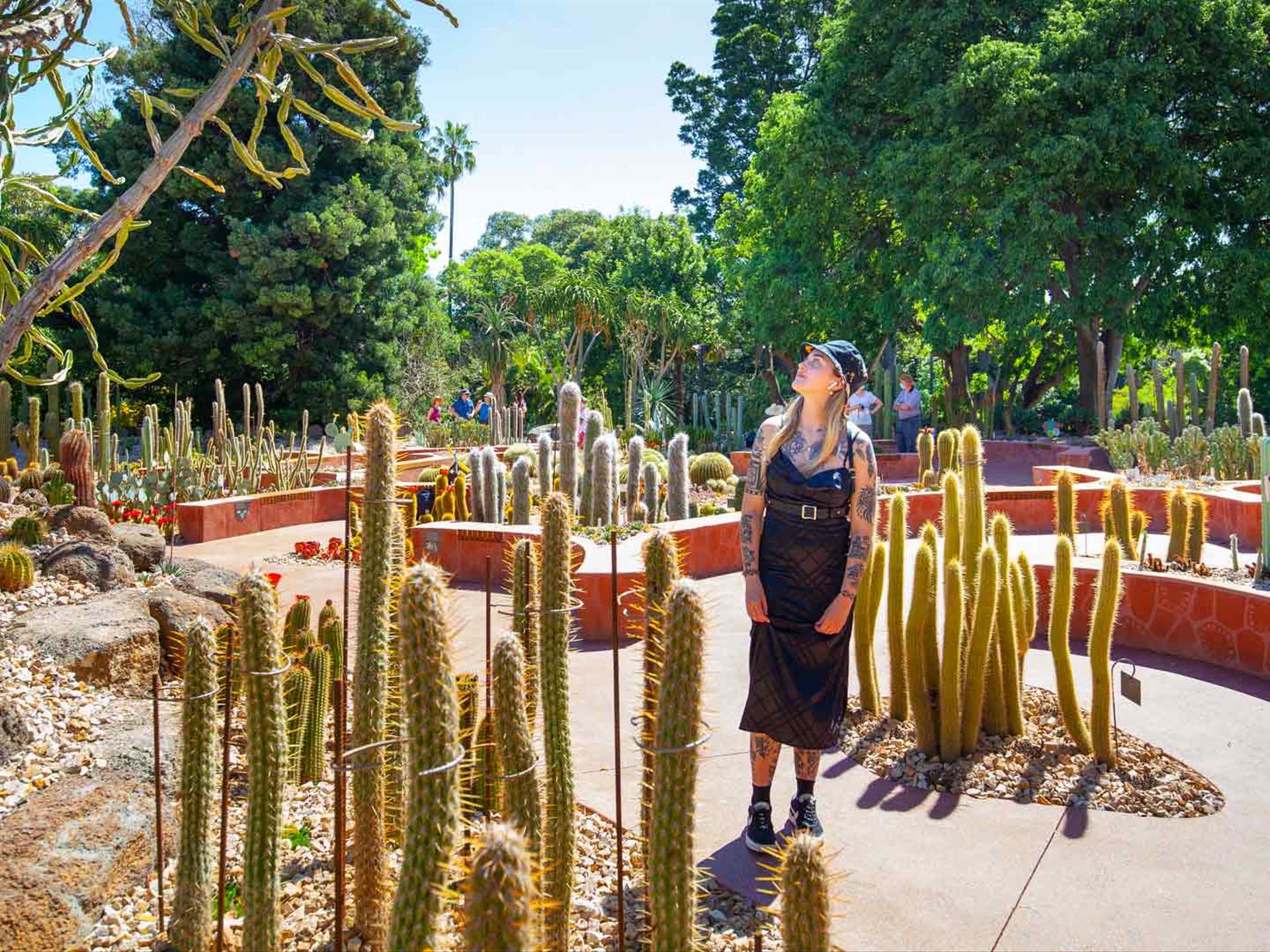 Botanical Gardens Easter Egg Hunt Melbourne Fasci Garden