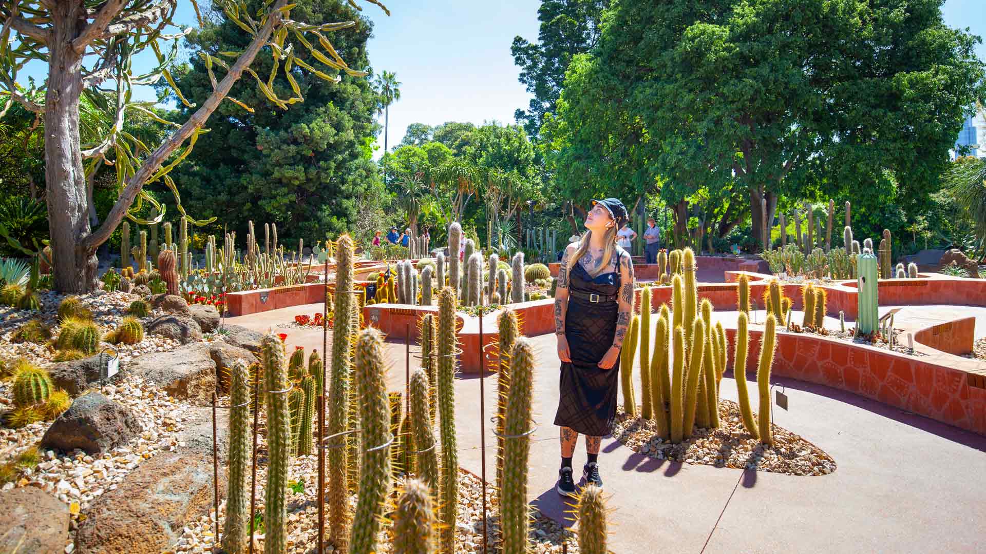 Melbourne's Royal Botanic Gardens Is Now Home to More Than 3000 Cacti and Succulents