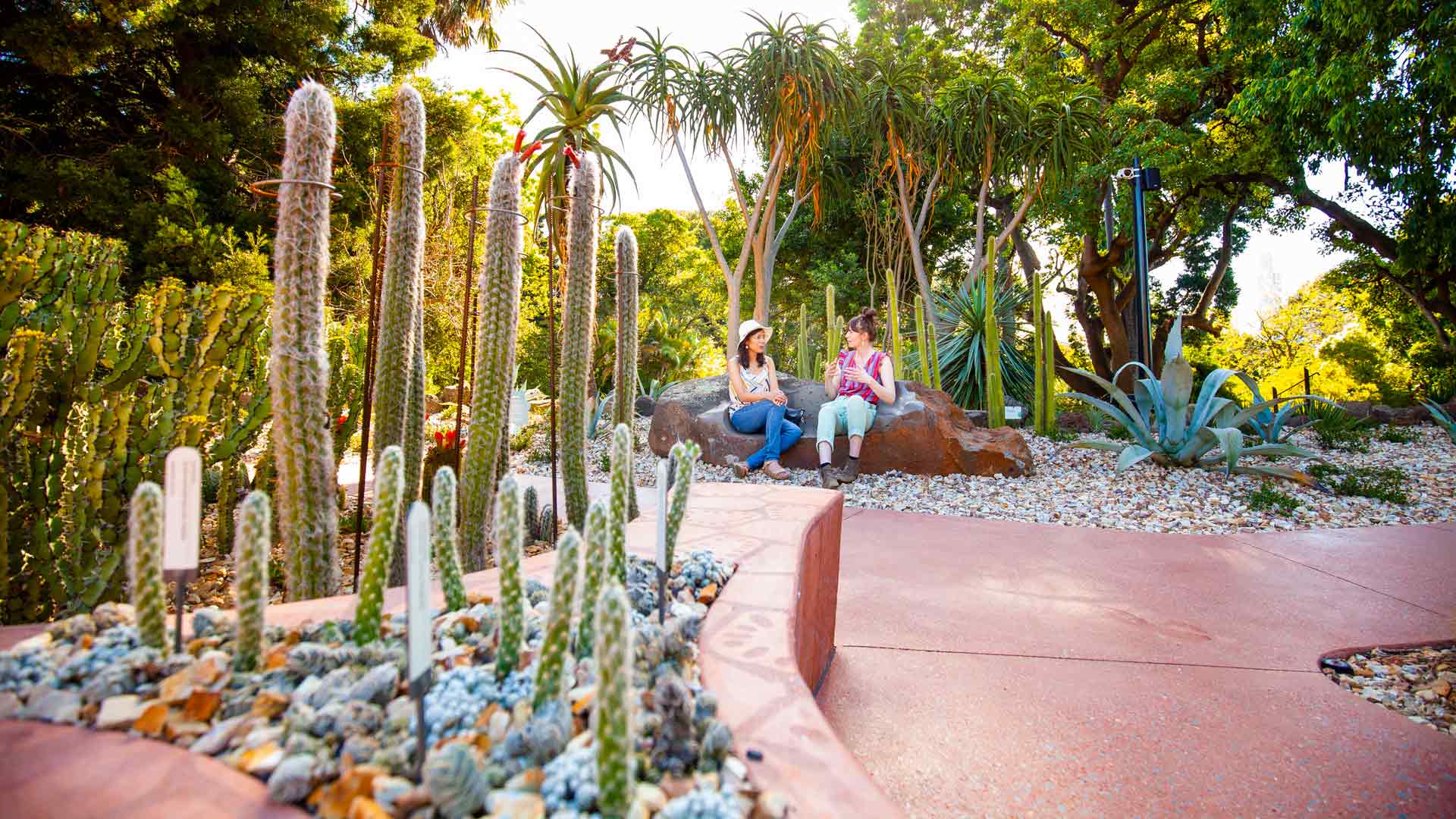 Melbourne S Royal Botanic Gardens Is Now Home To More Than 3000 Cacti And Succulents Concrete Playground