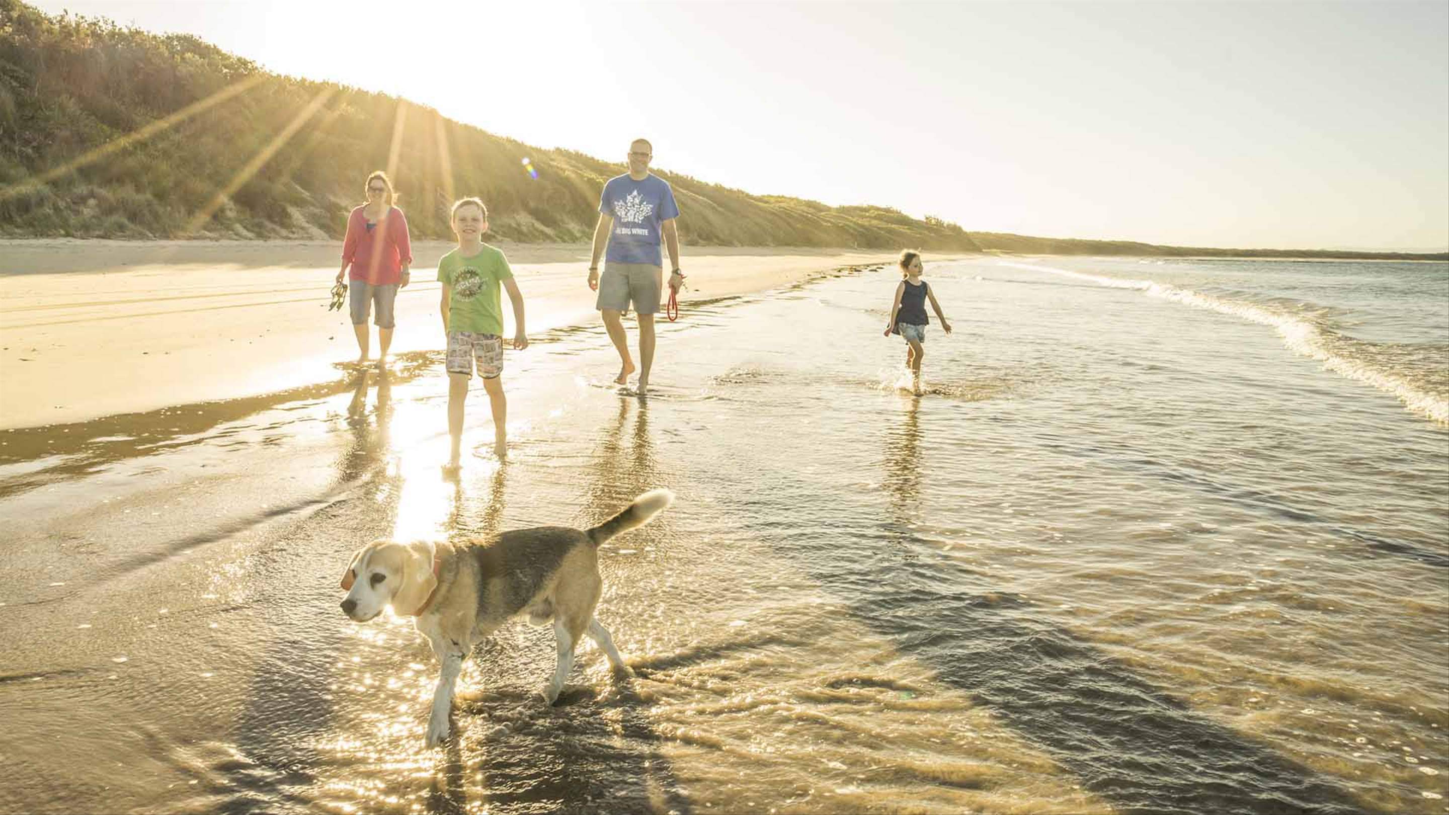 The Best Spots to Camp, Hike and Swim With Your Dog in NSW