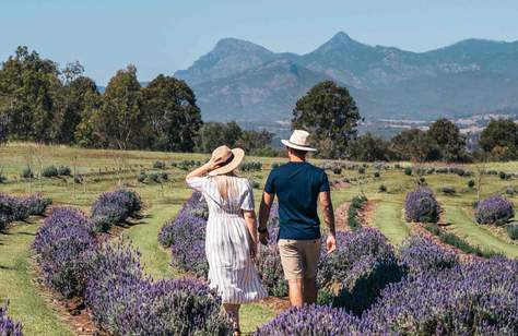 A Weekender's Guide to the Scenic Rim