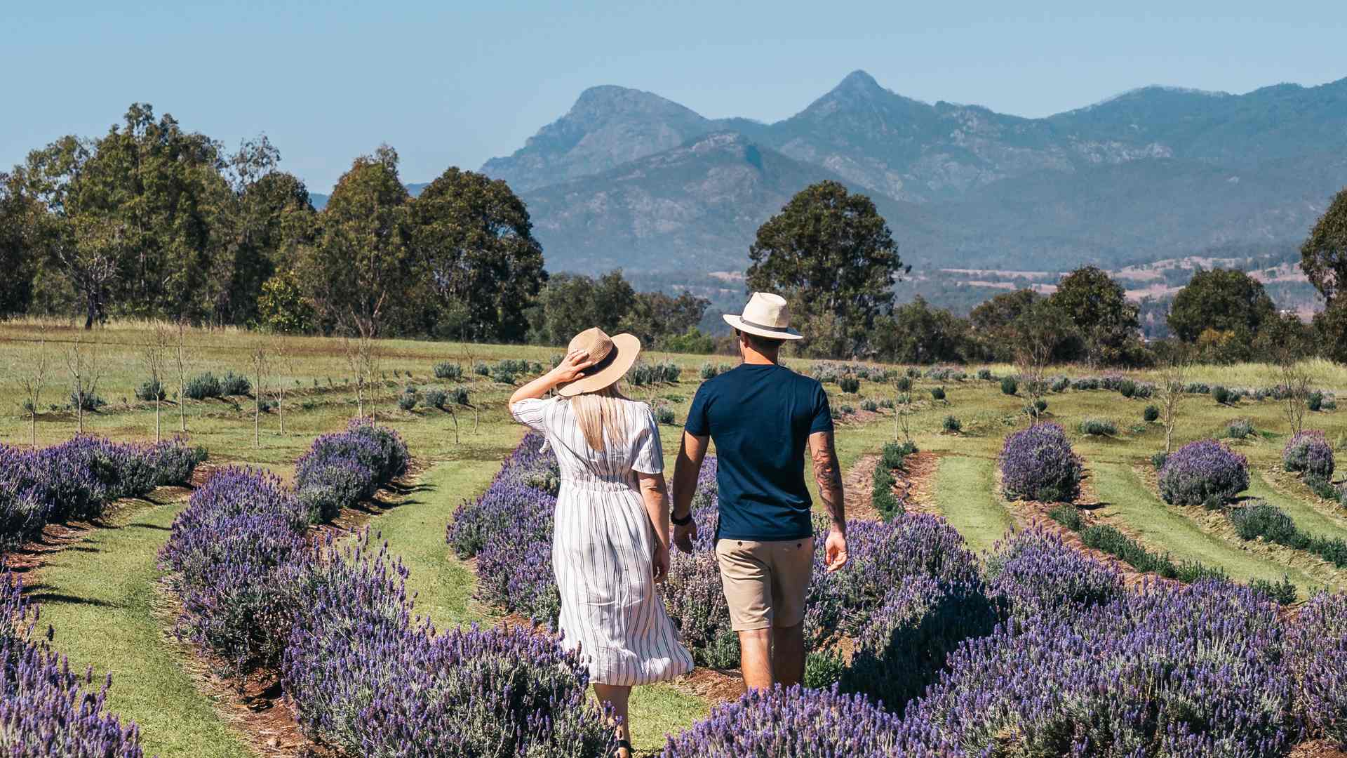 A Weekender's Guide to the Scenic Rim