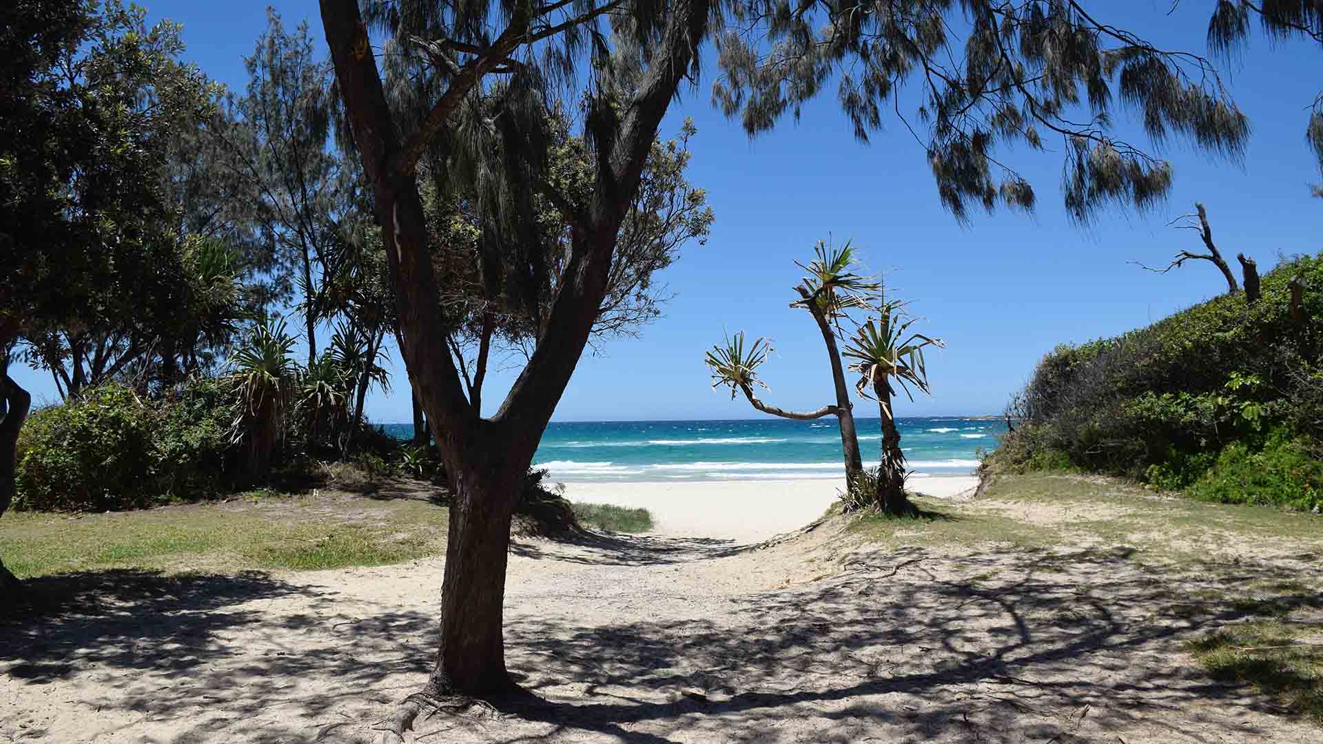 Queensland Won't Open Its Borders to Greater Sydney Until the End of January at the Earliest