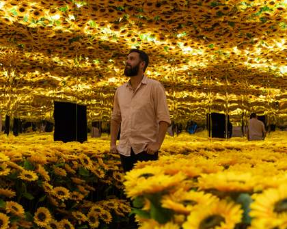 Huge Multi-Sensory Exhibition 'Van Gogh Alive' Is Touring Australia This Year