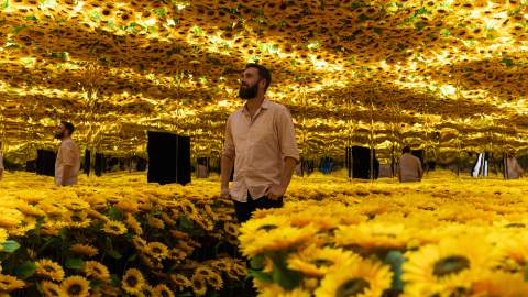 Huge Multi-Sensory Exhibition 'Van Gogh Alive' Is Touring Australia This Year